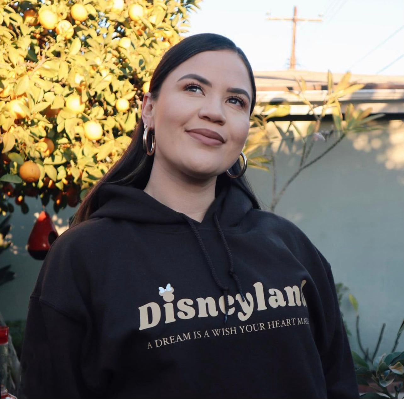 DISNEYLAND DREAM HOODIE
